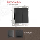 Выключатель двухклавишный, 10AX 250V Arte Milano 206.30-2.black am
