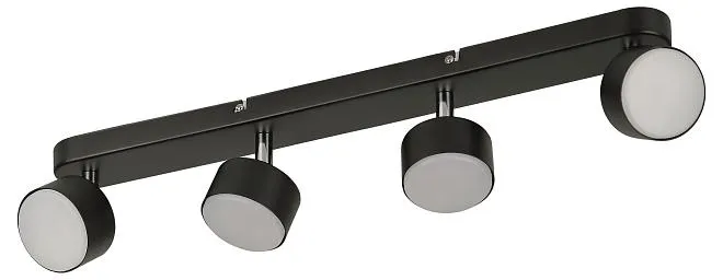 Светильник настенно-потолочный спот Rivoli 7079-704 Alesta