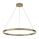 Подвесной светильник Maytoni MOD058PL-L42BS3K Rim