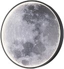 Настенно-потолочный светильник Escada 10226/SG LED Moon Planet