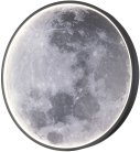 Настенно-потолочный светильник Escada 10226/SG LED Moon Planet
