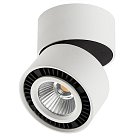 Накладной светильник Lightstar 214816 FORTE MURO