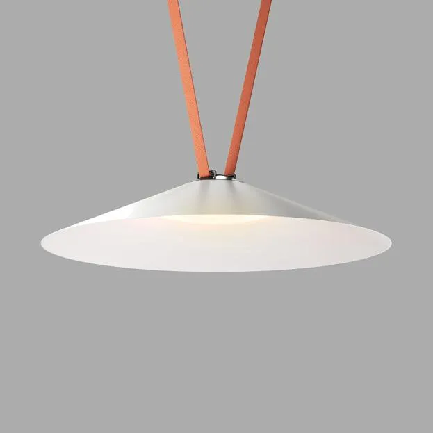 Cветильник для трека-ремня Denkirs DK5569-WH+BK BELTY FLOW