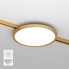 Светильник для трека Denkirs DK5763-SB SHINE FLOW