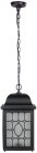 Уличный светильник подвесной Oasis Light 64805L Bl LONDON L