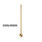 Бра Odeon light 4335/12WGP Fillini