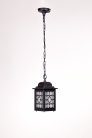 Уличный светильник подвесной Oasis Light 64805S Bl