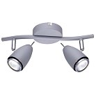 Настенно-потолочный светильнк Arte Lamp A1966AP-2GY Regista