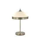 Интерьерная настольная лампа MyFar MR2522-2T Biene