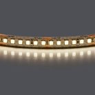 Лента белого свечения 24V Lightstar 421004