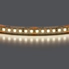 Лента белого свечения 24V Lightstar 421004