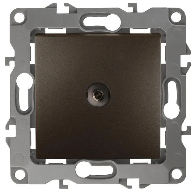 Розетка ЭРА 12-3101-13