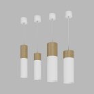 Подвесной (накладной) светодиодный светильник Ledron SLC7392/12W-PS White
