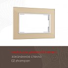 Рамка из закаленного стекла для двойной розетки Arte Milano 503.02-double.shampan am