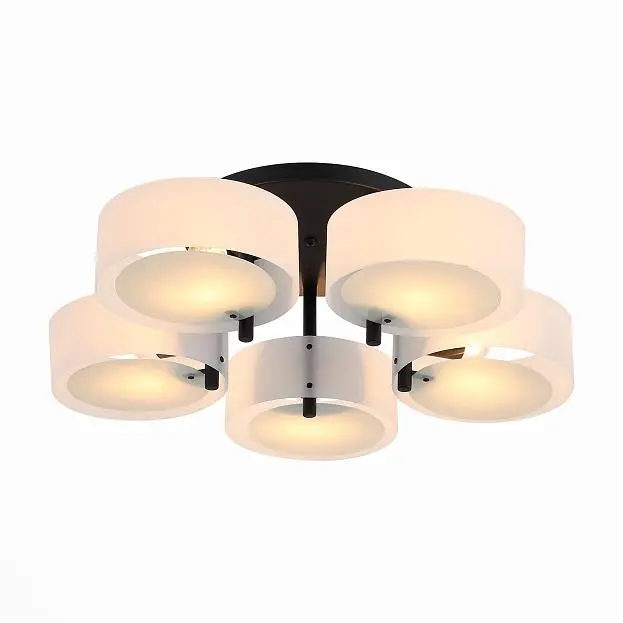 Потолочная люстра ST Luce SL483.402.05 Foresta