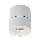 Потолочный светильник Donolux DL18617/01WW-R White Dim DL18617