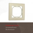 Рамка из поликарбоната на 1 пост Arte Milano 503.06-1.shampan am