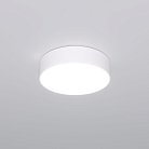 Потолочный светильник Eurosvet 90318/1 белый a063076 Entire