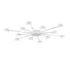 Потолочная люстра Lumion 8343/12C TORINA