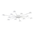 Потолочная люстра Lumion 8343/12C TORINA