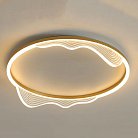 Потолочный светильник IZELIN D60 Brass ImperiumLoft 223811-23 izelin01