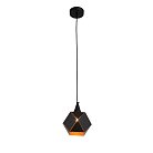 Светильник подвесной ST-Luce SL258.403.01 ENIGMA