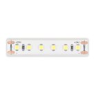 Светодиодная лента ST Luce ST1001.414.65