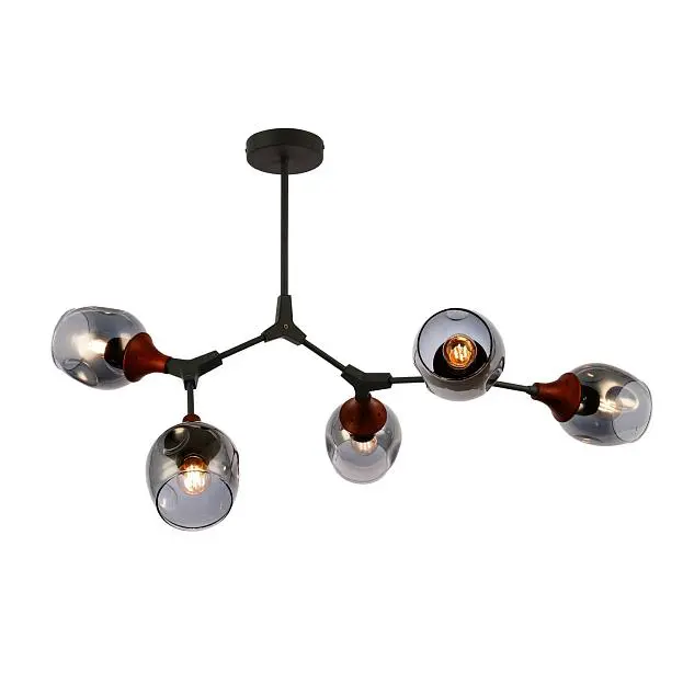 Потолочная люстра EVOLUCE SLE113402-05 CIOTOLLA Потолочная люстра EVOLUCE SLE113402-05 CIOTOLLA