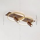 Потолочный светильник DIDRIKA Размер M. Темное Дерево. Белый свет Lampatron 6429-17304