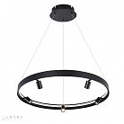Подвесная люстра iLedex 2060-D800 BK VISION