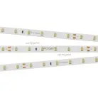 Светодиодная лента Arlight 024968 RT 2-5000