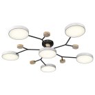 Потолочная люстра Velante 446-007-06