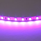 Лента цветного свечения 24V, фиолетовый Lightstar 420518