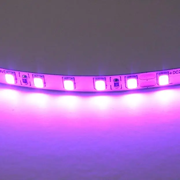 Лента цветного свечения 24V, фиолетовый Lightstar 420518 Лента цветного свечения 24V, фиолетовый Lightstar 420518