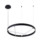 Подвесная люстра ARTE LAMP A1874SP-45BK RICCO