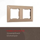 Рамка из поликарбоната на 2 поста Arte Milano 503.03-2.shampan am