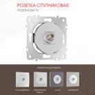 Розетка спутниковая, SAT TV Arte Milano 202.42-1.silver am