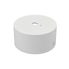 Потолочная чаша накладная ALTA/CANNO PROк 215ххх/304ххх БЕЛЫЙ Lightstar 215016