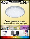 Потолочный светильник Citilux CL718A40G Альпина