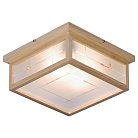 Накладной светильник Velante 548-717-02