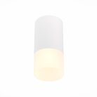 Светильник потолочный ST LUCE ST100.512.01 ST100