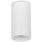 Светильник накладной, GU10, D55xH80мм, IP20, белый, без лампы Donel DN02016R1W DN02
