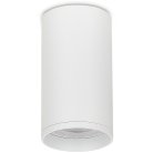 Светильник накладной, GU10, D55xH80мм, IP20, белый, без лампы Donel DN02016R1W DN02