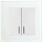 Выключатель 2-клавишный c индикатором 250В 10А серия Катрин белый Stekker 39163 GLS10-7002-01