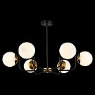 Светильник потолочный Evoluce SLE1098-402-06 CIANE