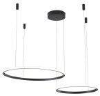 Светильник подвесной ZORTES ZRS.33321.63F RINGOLIGHT