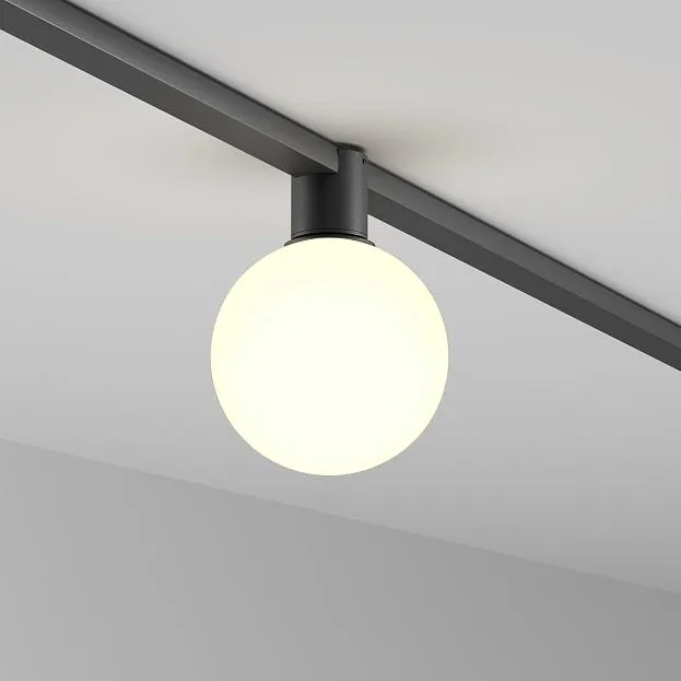 Трековый светильник Technical Maytoni TR171-1-5W3K-WB Luna