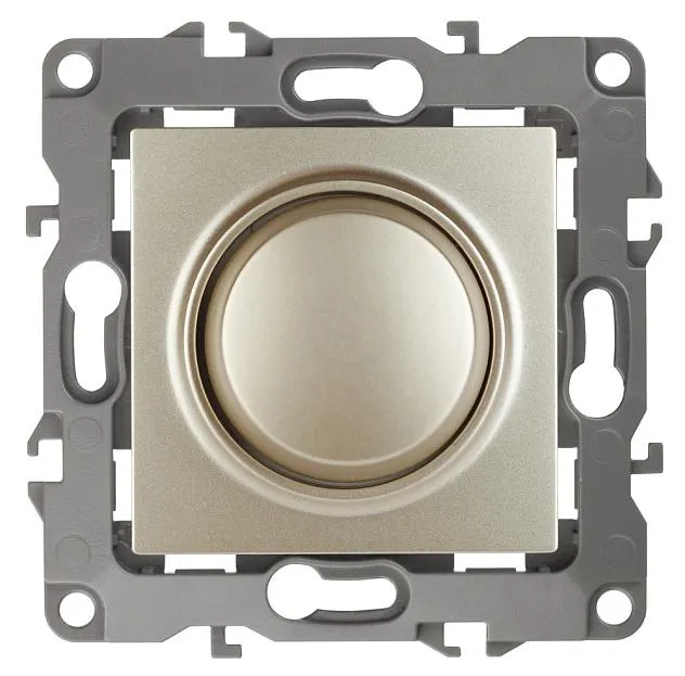 Диммер ЭРА 12-4101-04