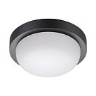 Настенно-потолочный светильник NOVOTECH 358015 OPAL