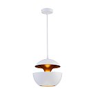 Подвесной светильник Loft IT LOFT2213-A Apple